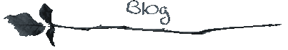 Blog last up data